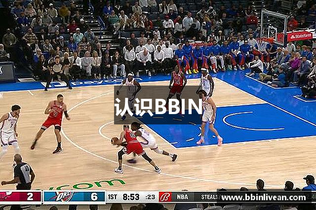 认识BBIN